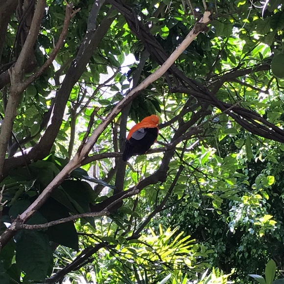 Meet your Posher, A - Picture 1 of 1